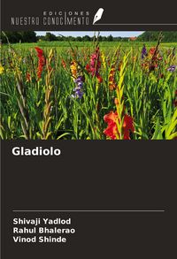 Produktbild: Gladiolo