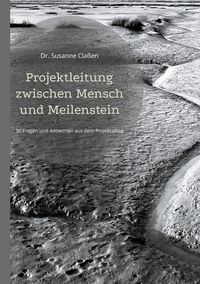 Produktbild: Projektleitung zwischen Mensch und Meilenstein