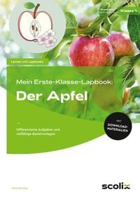 Produktbild: Mein Erste-Klasse-Lapbook: Der Apfel