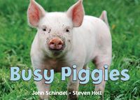 Produktbild: Busy Piggies