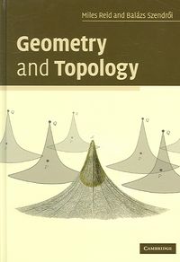 Produktbild: Reid, M: Geometry and Topology