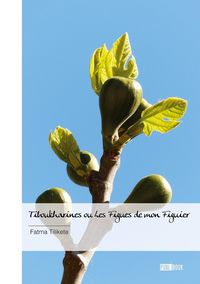 Produktbild: Tiboukharines ou les figues de