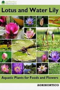 Produktbild: Lotus and Water Lily