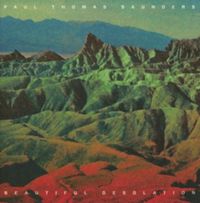 Produktbild: Saunders, P: Beautiful Desolation