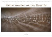 Produktbild: Kleine Wunder vor der Haust&uuml;r (Wandkalender 2026 DIN A2 quer), CALVENDO Monatskalender