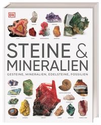 Bild vom Artikel Steine & Mineralien vom Autor Ronald L. Bonewitz