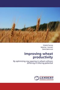 Produktbild: Improving wheat productivity
