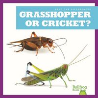 Produktbild: Grasshopper or Cricket?