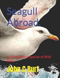 Produktbild: Seagull Abroad.