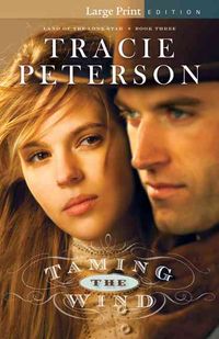 Produktbild: Taming the Wind