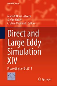 Produktbild: Direct and Large Eddy Simulation XIV