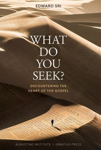 Produktbild: What Do You Seek?