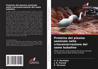 Produktbild: Proteine del plasma seminale nella crioconservazione del seme bubalino