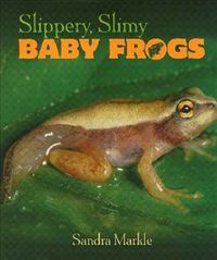 Produktbild: Slippery, Slimy Baby Frogs