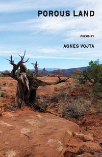 Produktbild: Porous Land