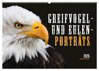 Produktbild: GREIFVOGEL- UND EULENPORTR&Auml;TS (Wandkalender 2026 DIN A2 quer), CALVENDO Monatskalender