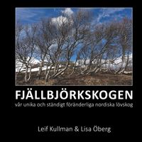 Produktbild: Fj&auml;llbj&ouml;rksskogen