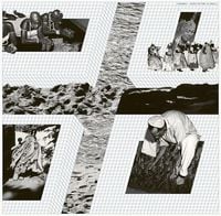 Produktbild: Candombl&eacute; Sacred Rhythms in Brazil (Vinyl)