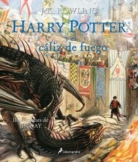 Produktbild: Harry Potter y el c&aacute;liz de fuego