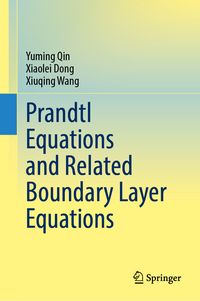 Produktbild: Prandtl Equations and Related Boundary Layer Equations