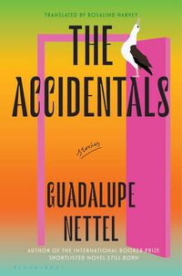 Produktbild: The Accidentals
