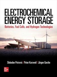 Produktbild: Electrochemical Energy Storage