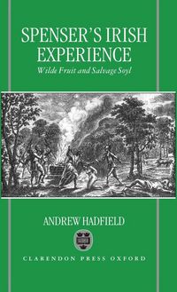 Produktbild: Edmund Spenser's Irish Experience