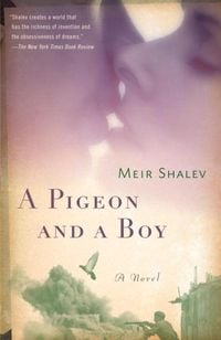 Produktbild: A Pigeon and a Boy
