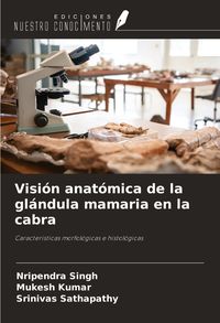 Produktbild: Visi&oacute;n anat&oacute;mica de la gl&aacute;ndula mamaria en la cabra