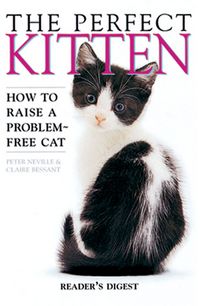 Produktbild: Perfect Kitten