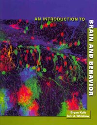 Produktbild: Intro To Brain & Behavior 3/e