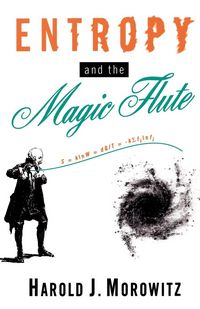 Produktbild: Entropy and the Magic Flute