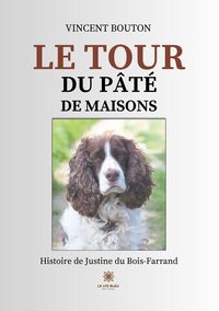 Produktbild: Le tour du p&acirc;t&eacute; de maisons