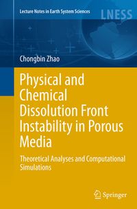 Produktbild: Physical and Chemical Dissolution Front Instability in Porous Media