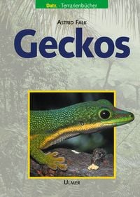 Bild vom Artikel Geckos vom Autor Astrid Falk