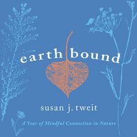 Produktbild: Earthbound