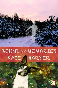Produktbild: Bound by Memories (Necromancer, #3)