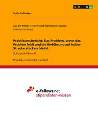 Produktbild: Praktikumsbericht: Das Problem, wenn das Problem fehlt und die Hinf&uuml;hrung auf halber Strecke stecken bleibt.