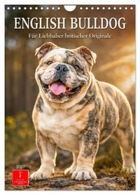 Produktbild: English Bulldog - F&uuml;r Liebhaber britischer Originale (Wandkalender 2027 DIN A4 hoch), CALVENDO Monatskalender