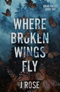 Produktbild: Where Broken Wings Fly