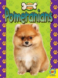 Produktbild: Pomeranians