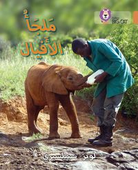 Produktbild: Elephant Sanctuary Level 12