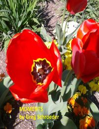 Produktbild: Moments
