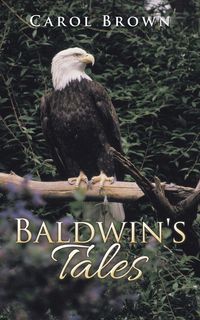Produktbild: Baldwin's Tales