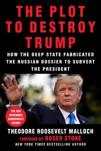 Produktbild: The Plot to Destroy Trump