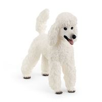 Produktbild: schleich&reg; 13917 Pudel, Hund