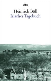 Produktbild: Irisches Tagebuch