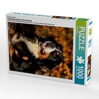 Produktbild: CALVENDO Puzzle Ein Motiv aus dem Kalender Faszination Berner Sennenhund | 1000 Teile Lege-Gr&ouml;&szlig;e 64x48cm Foto-Puzzle f&uuml;r gl&uuml;ckliche Stunden