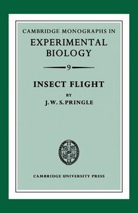 Produktbild: Insect Flight