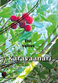 Produktbild: Karavaanari
